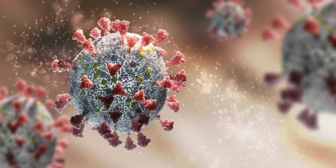 图片来源:视觉中国