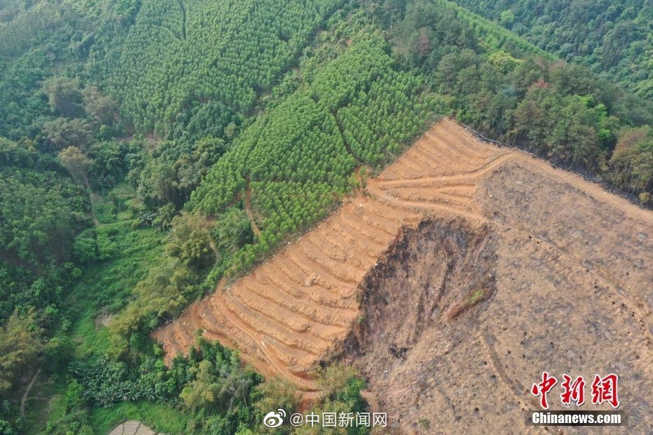 航拍东航MU5735坠毁现场