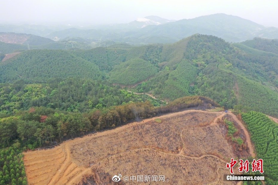 航拍东航MU5735坠毁现场