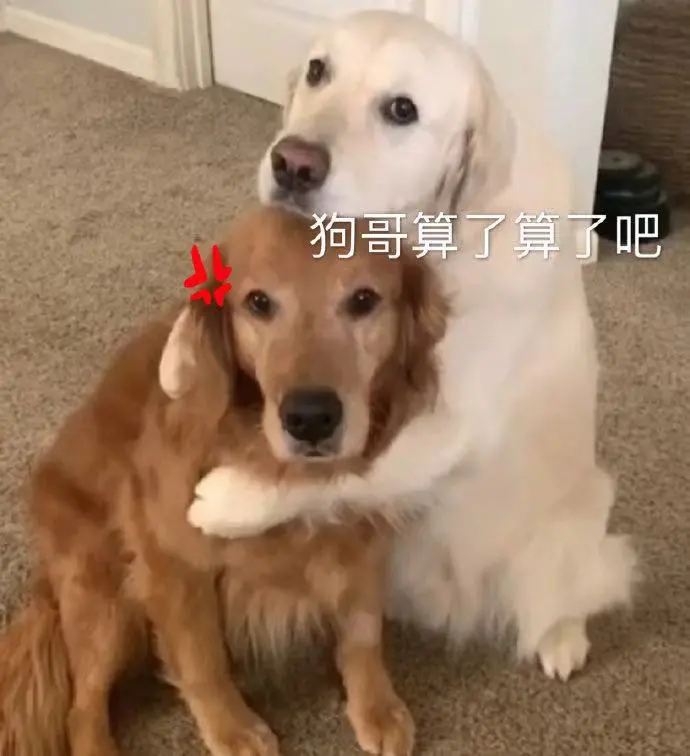 别人青春期还在偷抹口红她却直接美成整形模板