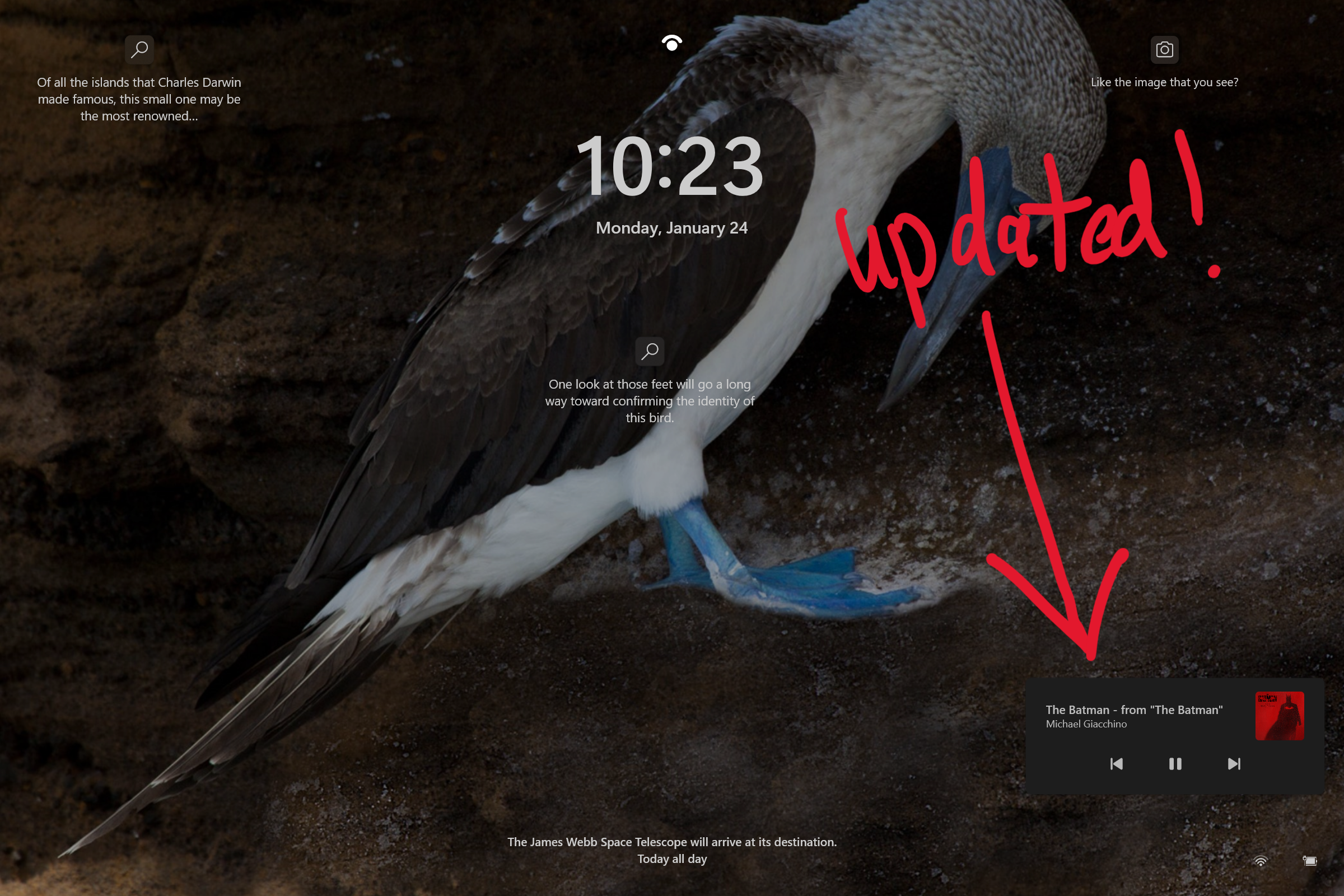 锁屏界面,深色的岩石和海鸟