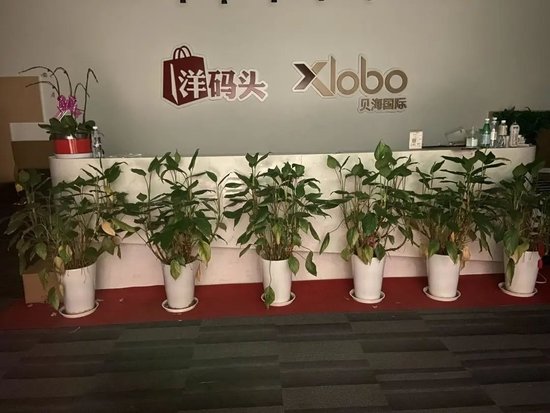 图注：洋码头总部前台，Tech星球拍摄。