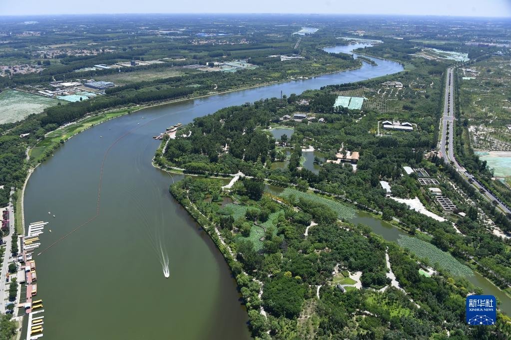 这是位于北京市通州区的大运河森林公园(2020年6月14日摄,无人机照片)。新华社发(常鸣 摄)