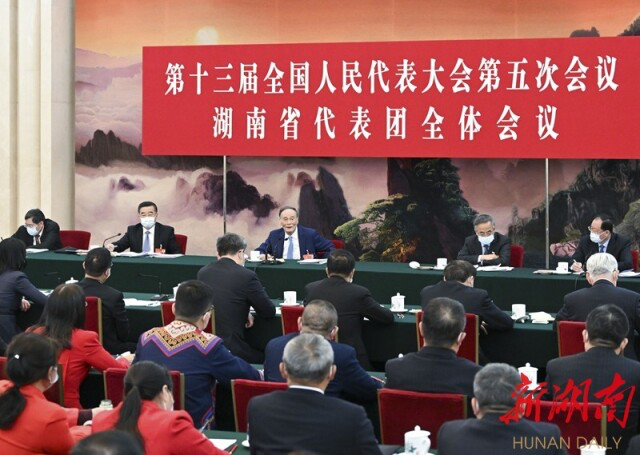 （3月5日，国家副主席王岐山参加十三届全国人大五次会议湖南代表团的审议。新华社记者 申宏 摄）