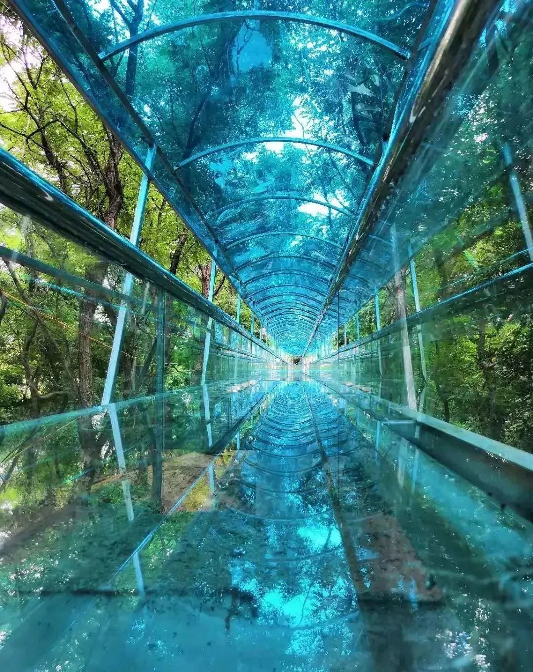 滑道的升级版玩过旱滑道的人就知道属于西游洞首创玩法它绝对是最吸睛