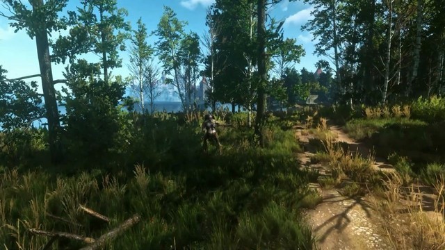 体验身临其境 巫师3第一人称Mod来袭