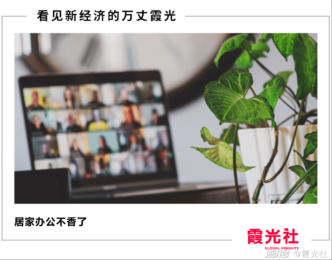 北京打工人居家办公图鉴