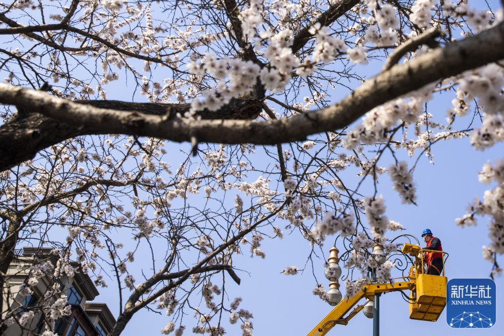 4月29日,在哈尔滨市松北区,国家电网黑龙江电力(李庆长)共产党员服务队队员在检修路灯。新华社记者 张涛 摄