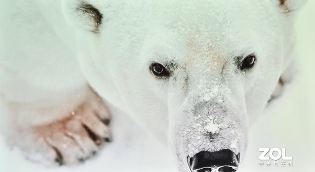 松下投影机评测