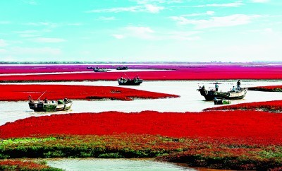 辽宁:“滚石上山”奔振兴