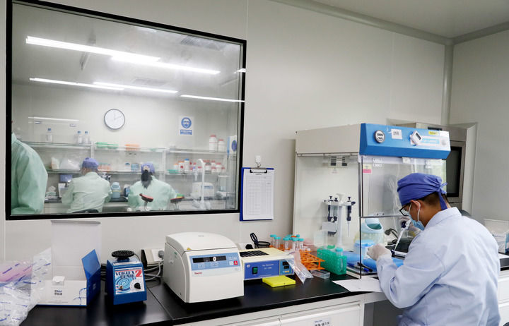 2021年9月6日，新冠流感联检试剂盒在上海投产分发，这是工作人员在实验室内进行产品验证。新华社记者方喆 摄