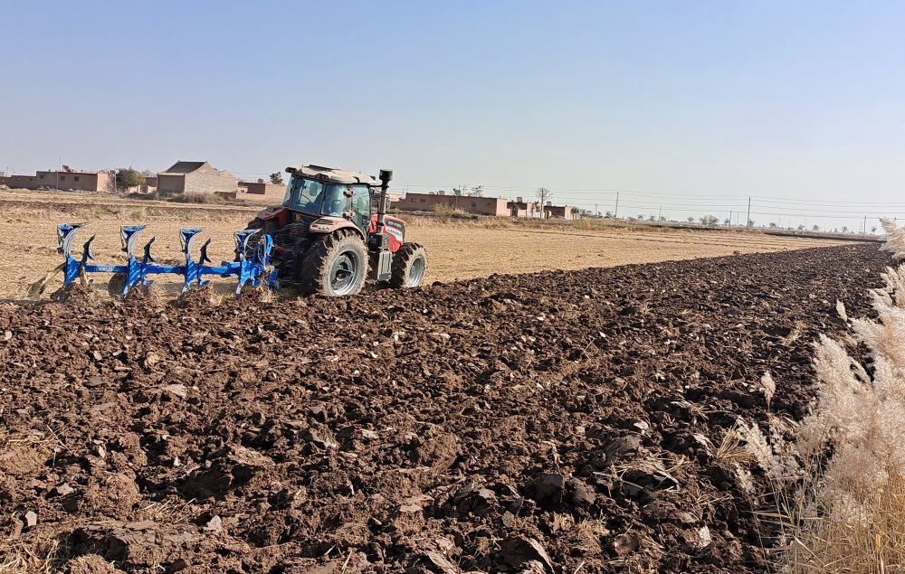 宏潮村"一块田"改革后种植大户在进行机械化耕作.(受访者供图)