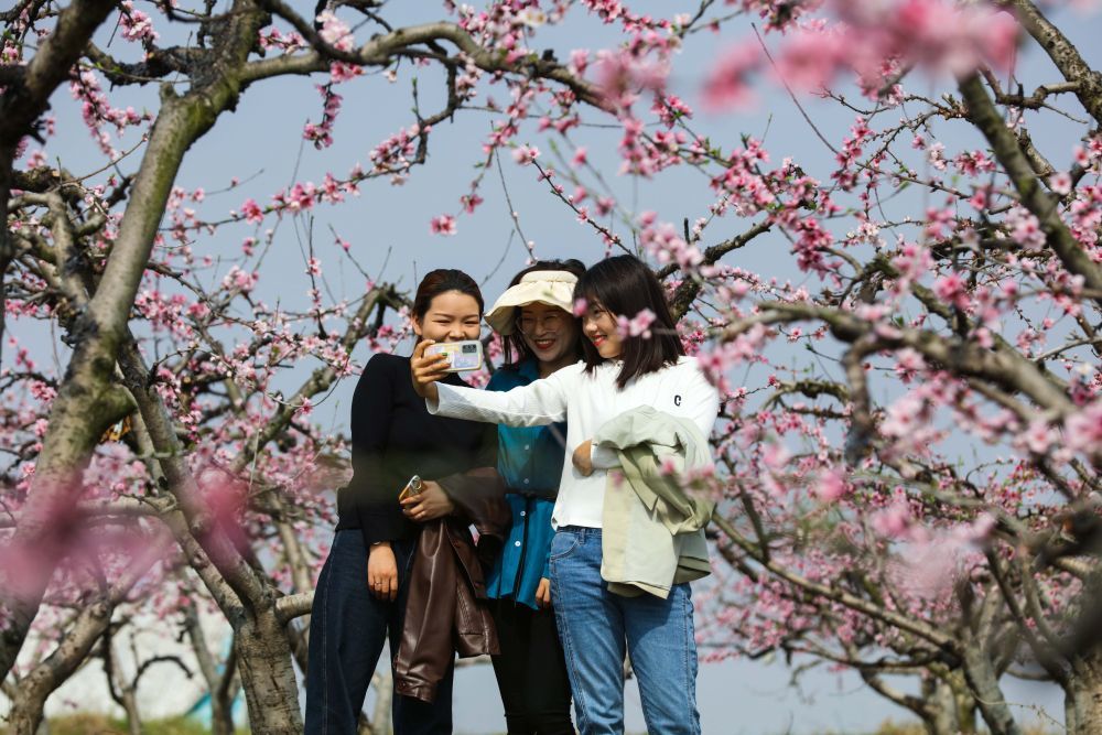 3月15日,游人在河南省信阳市光山县斛山乡万亩桃园里赏花拍照.