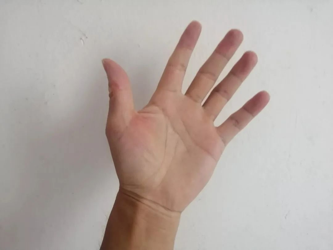 再呼吁一次，新教材插图，左手画成右手，就我看出问题了？（黑白先生）__凤凰网