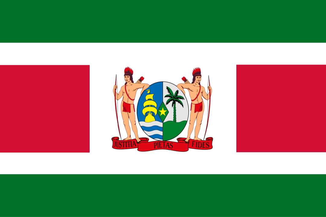 ▲苏里南共和国国旗