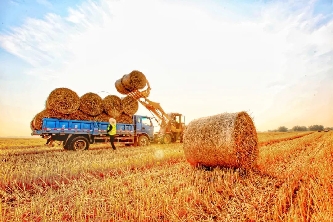 钟国庆摄(中经视觉)