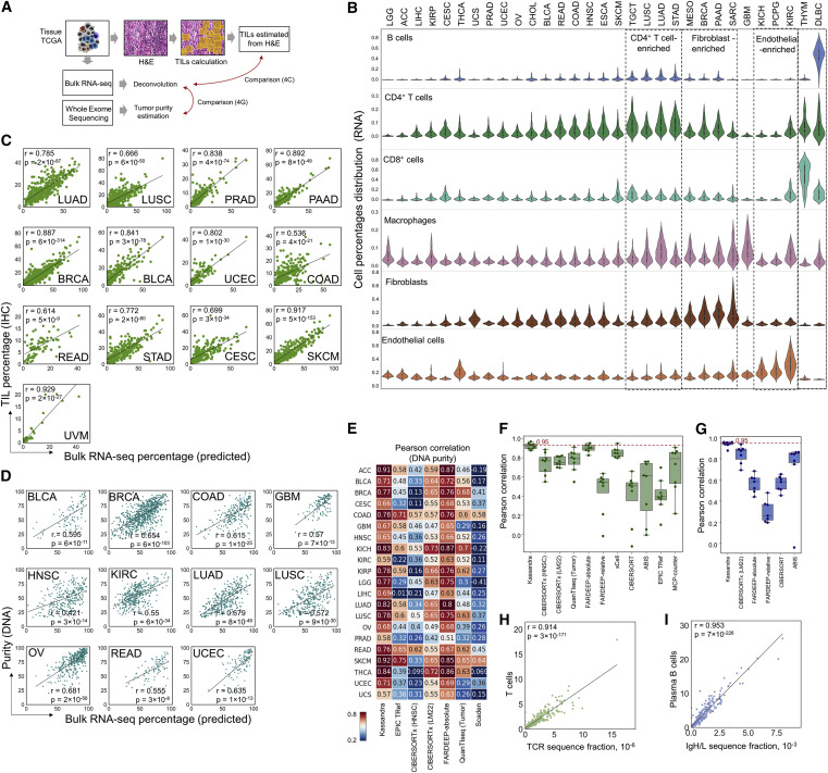 Cancer Cell基于bulk Rna Seq精准重建肿瘤tme的机器学习新算法kassandra凤凰网 9003