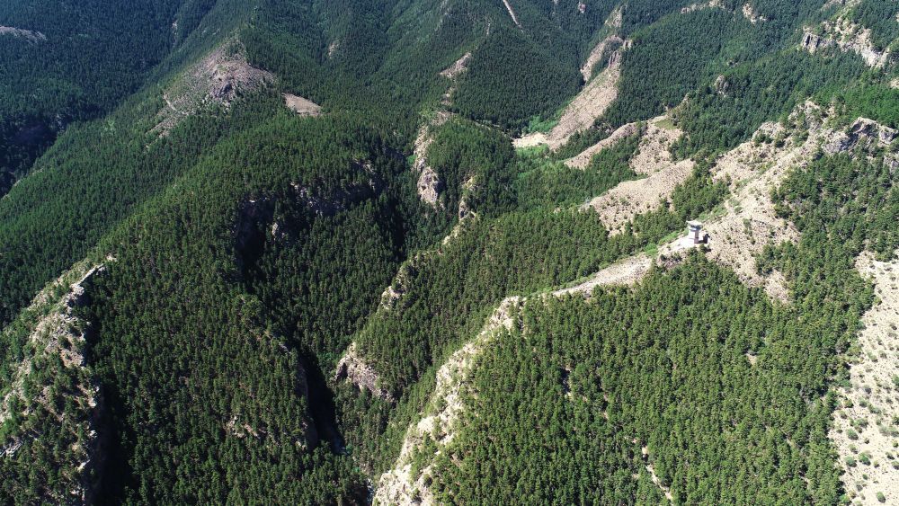 这是绿意盎然的贺兰山苏峪口国家森林公园（无人机照片，6月14日摄）。新华社记者 王鹏 摄