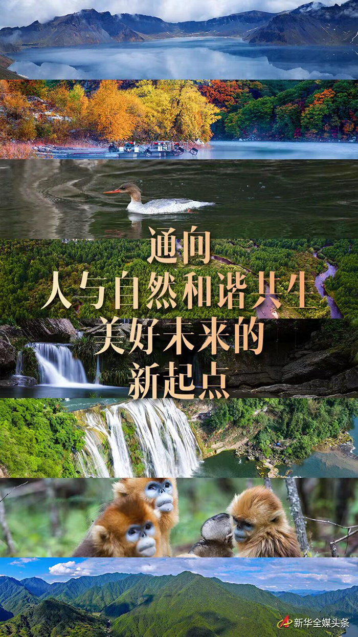 通向人与自然和谐共生美好未来的新起点写在生物多样性公约第十五次