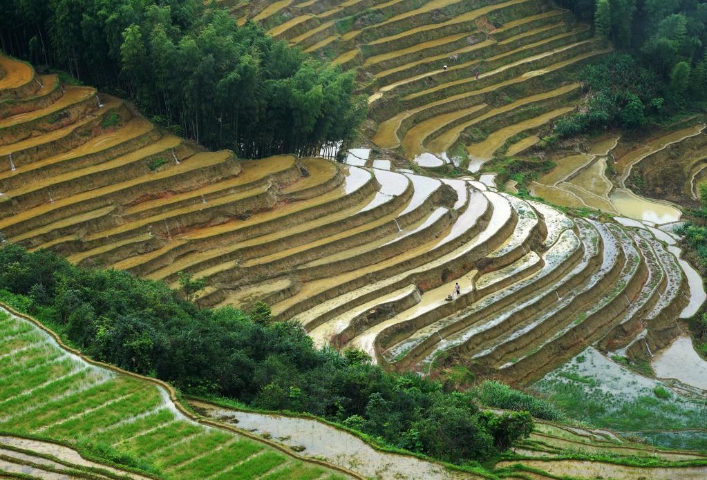 上堡梯田进入耕种时节,高山与水面衬托下的田埂宛如一曲曲大地的旋律