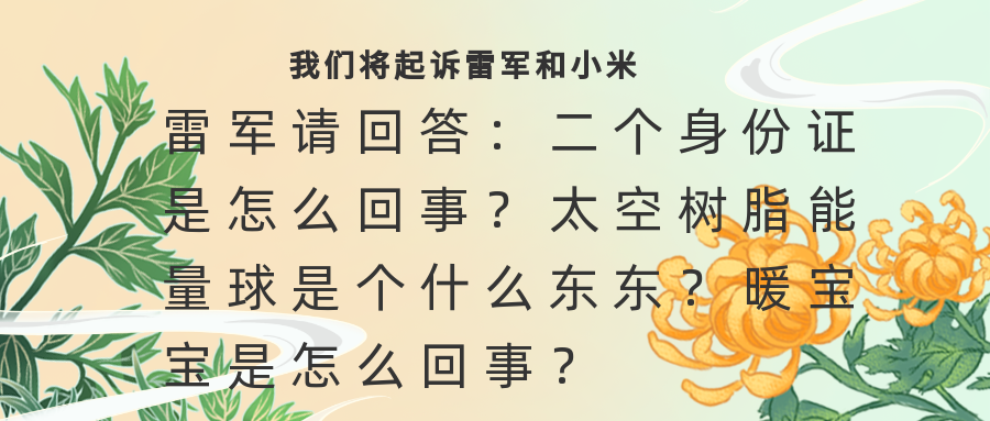 雷军请回答：二个身份证是怎么回事 太空树脂能量球是个什么东东插图