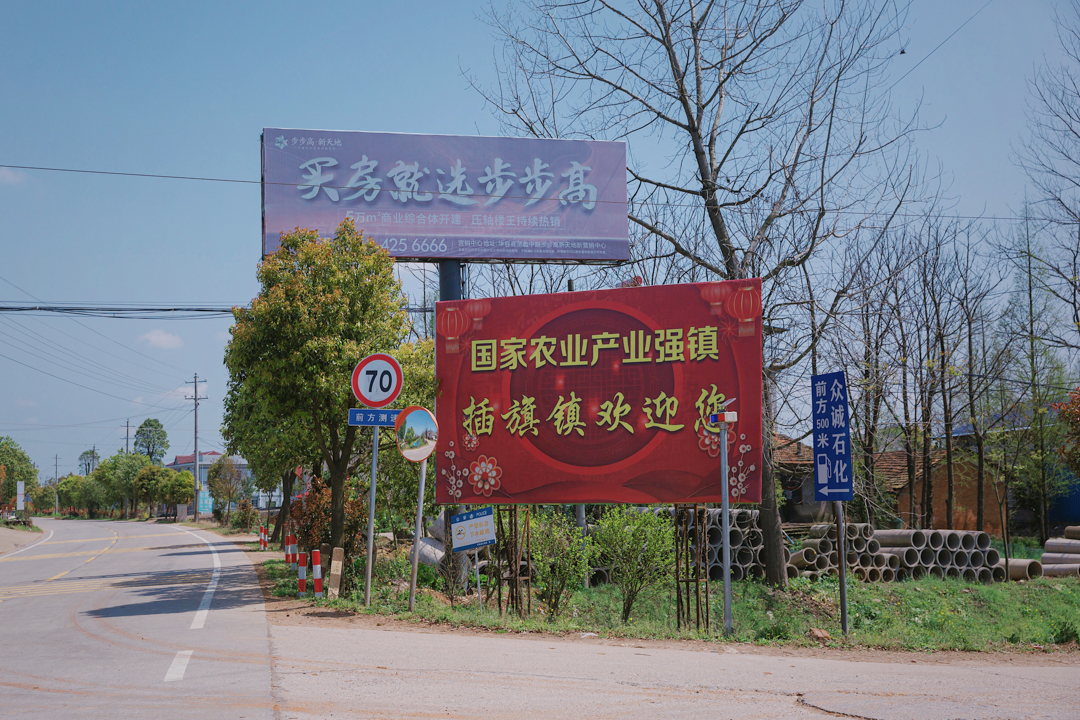 2022年3月29日，湖南省岳阳市华容县插旗镇众城村村口立着“国家农业产业强镇插旗镇”广告牌。