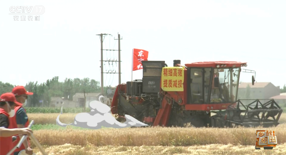 大国“粮”策 | 今天，农机称霸麦田，但我们也不会忘记曾经“麦客”的身影……