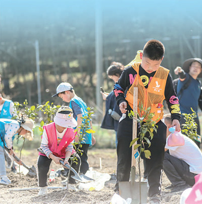 浙江省绍兴市越城区金溪村的青少年在研学游基地植树,绿化环境.