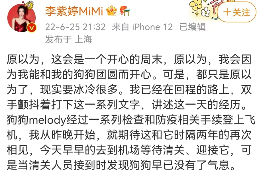 心痛！知名女星的爱犬托运后死亡，航空公司回应…宠物托运到底有多乱？