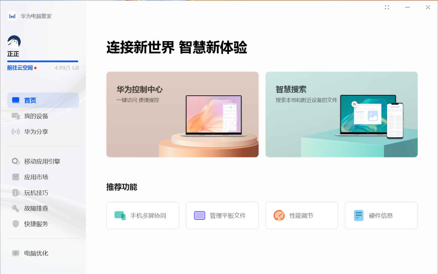 图形用户界面, 网站