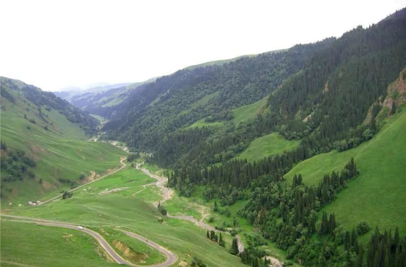 新疆：他们为英烈守墓，从青丝到白头