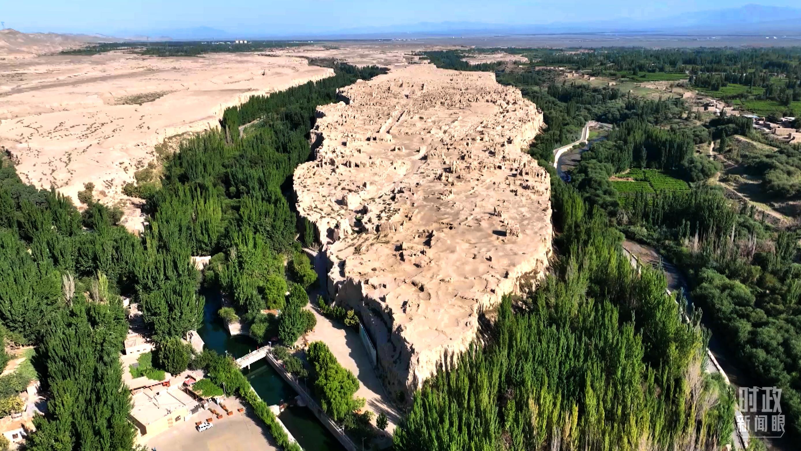 △整座古城形状如同一片大柳叶。(总台记者曹江拍摄)