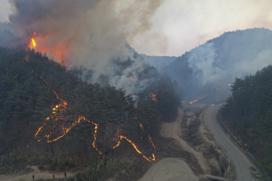 当地时间3月4日11时17分许,韩国南部庆尚北道蔚珍郡一座山丘发生火灾.