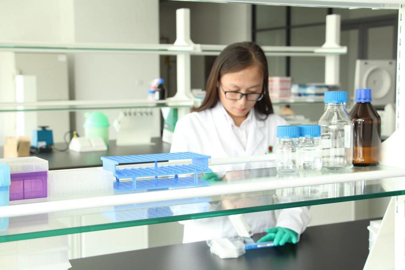 郭延玲进行分子育种样本检测。东亚现代种业研发中心供图