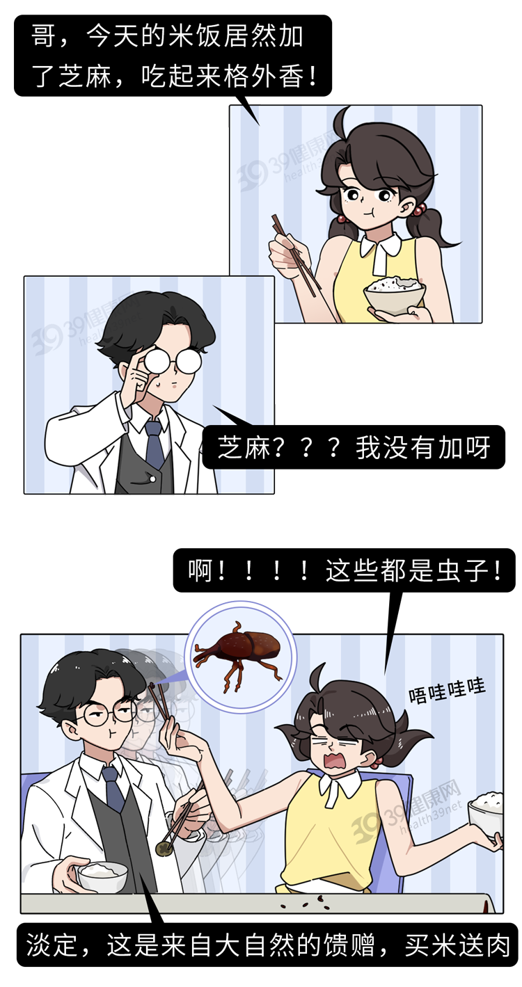 你天天吃的白米饭里可能长满了虫卵