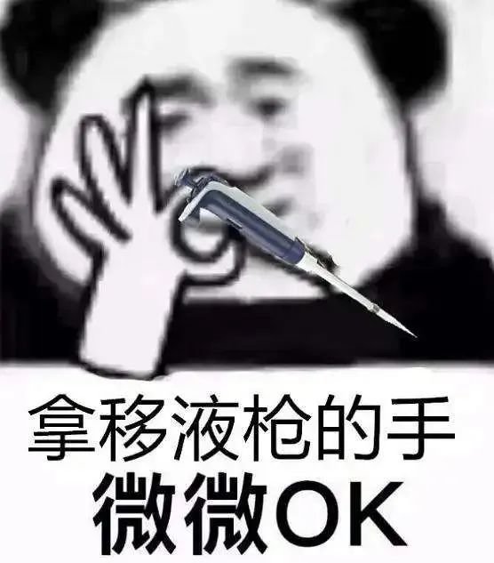 上辈子造孽 这辈子读研做实验