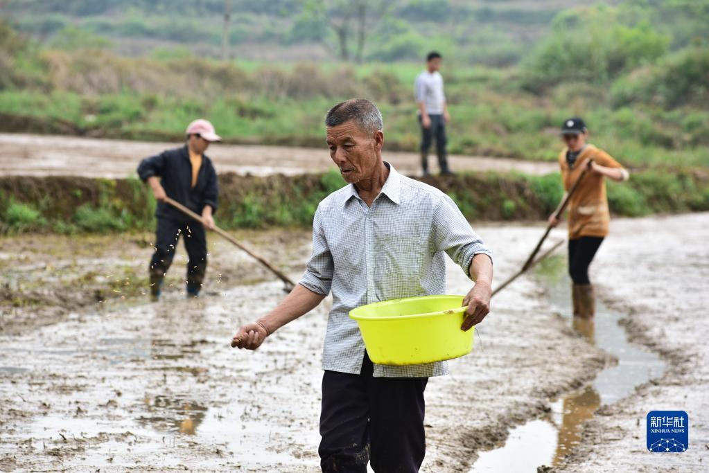 清明将至,各地农民忙着春耕劳作,田间地头一派忙碌景象.