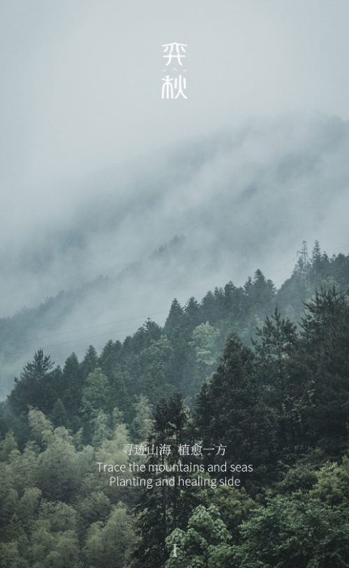 弈秋 | 花了3年走遍中国,只因为一株芍药?_凤凰网商业_凤凰网