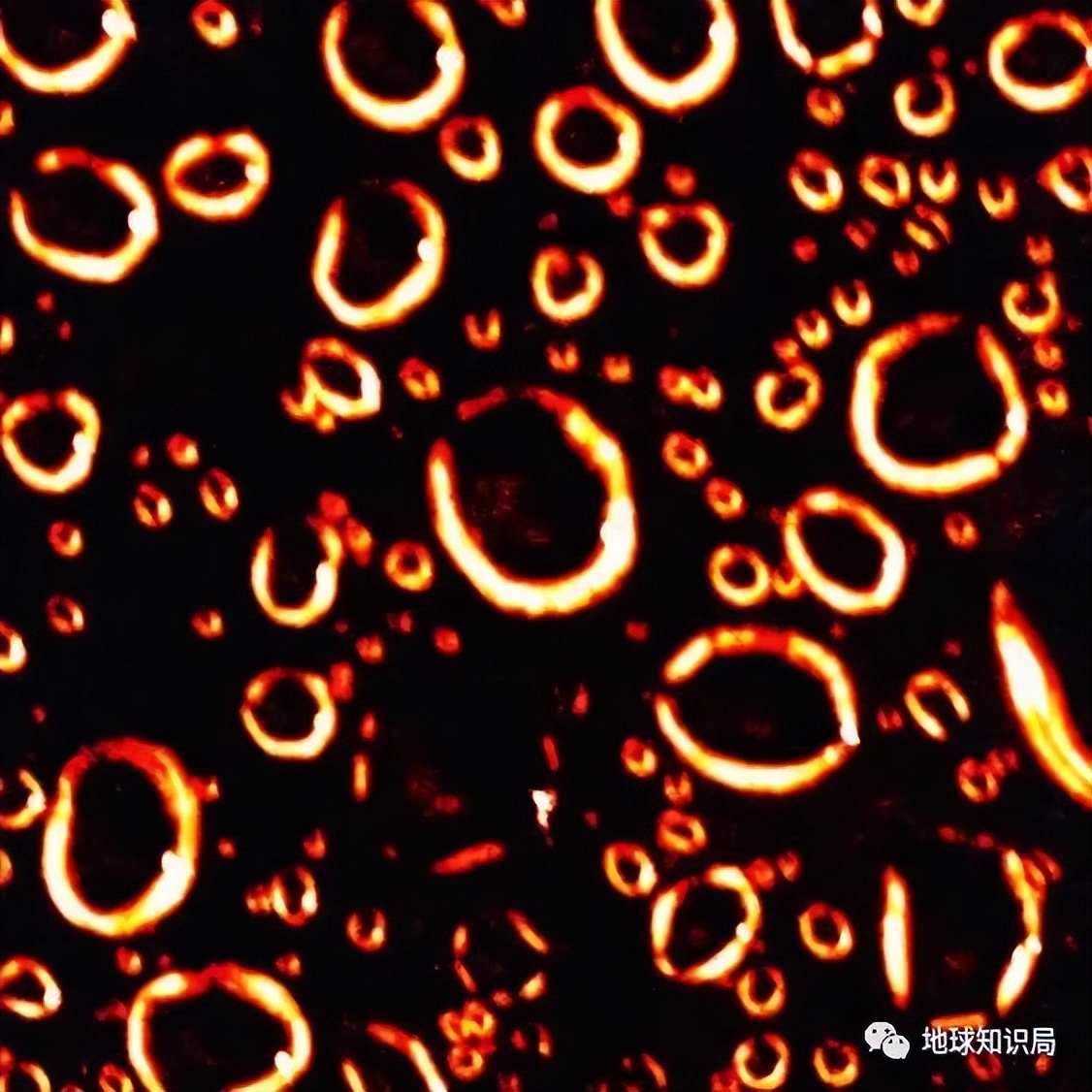 探究血型与星座之间的神秘关系：揭示个性特征与命运的潜在关联 (探究血型与星型的关系)