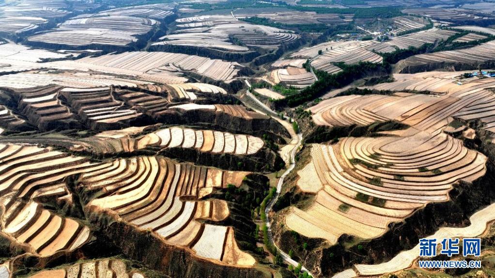 飞阅中国扫一扫黄土高原的条码图看有机旱作农业长啥样