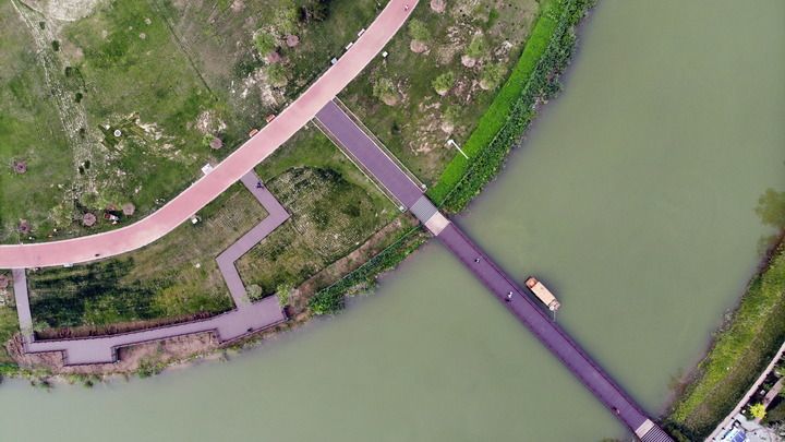 沧州市大运河生态修复展示区景色(2021年7月6日摄)