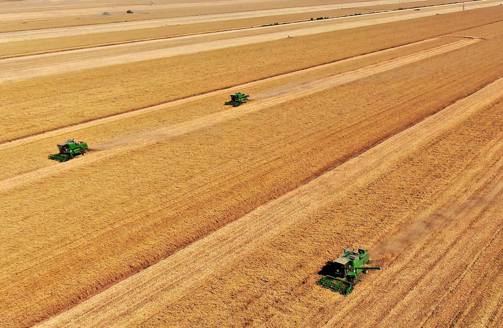在河南省黄泛区农场九分场的麦田里，农机手操作收割机收获小麦（2021年6月6日摄，无人机照片）。新华社记者 李安 摄