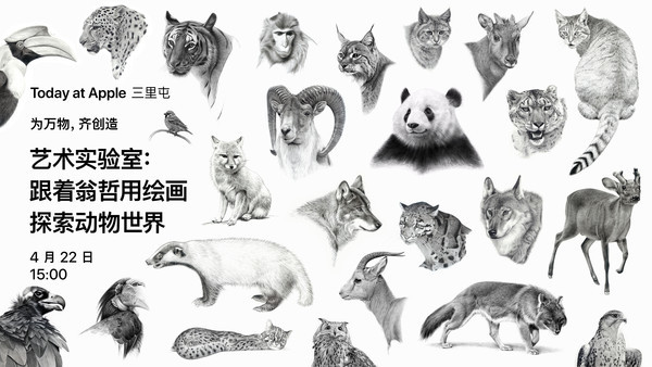 艺术实验室:跟着翁哲用绘画探索动物世界