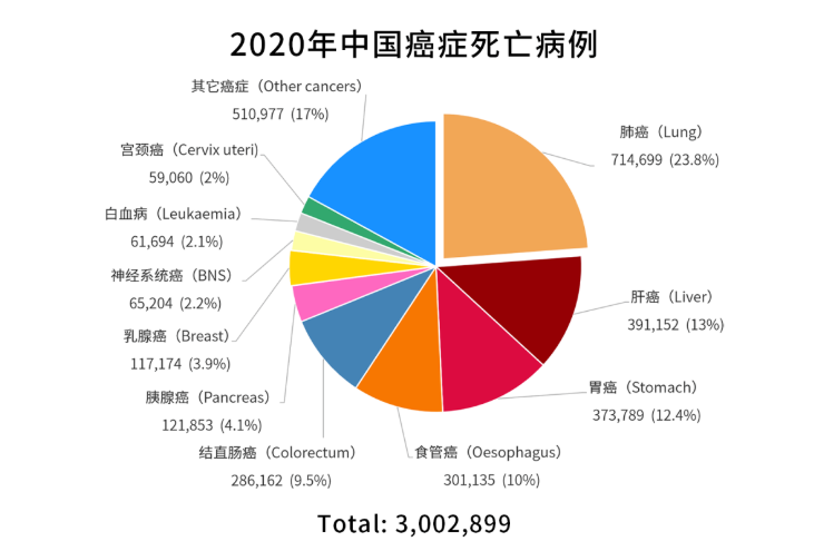 數據來源:globocan 2020▲數據來源:globocan 20202020年,肝癌以41