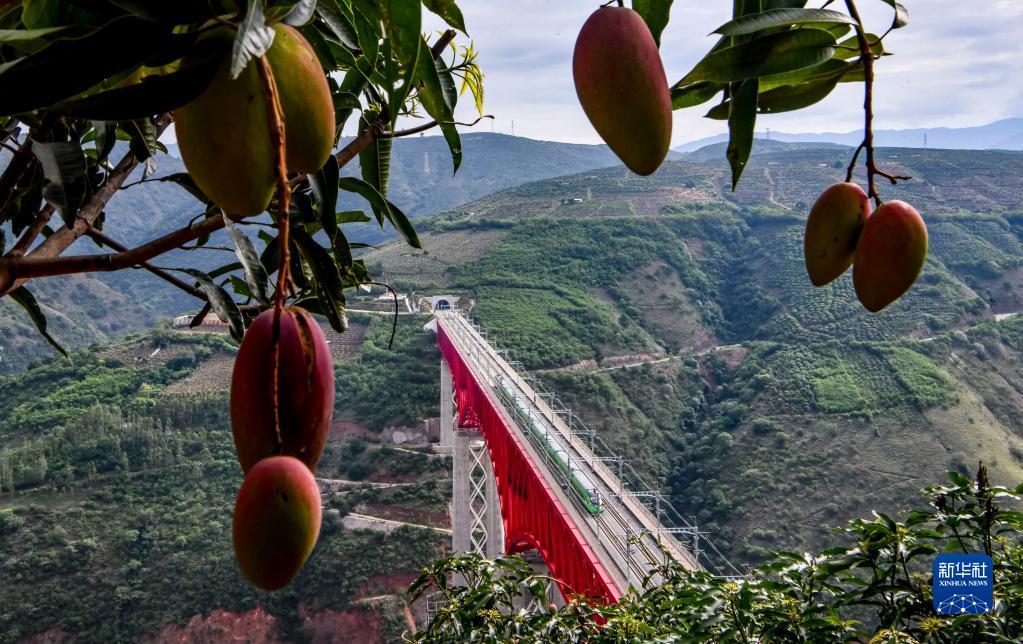 复兴号列车通过中老铁路元江特大桥（6月1日摄）。新华社记者 江文耀 摄