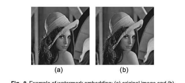 a是原始图像，b是加了盲水印的图像，肉眼看不出区别