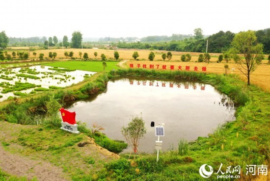 俯瞰四方景家庭农场。人民网记者 慎志远摄