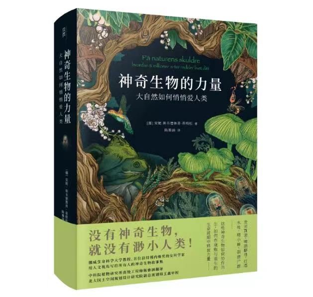 灯塔水母（灯塔水母秒懂百科） 第1张