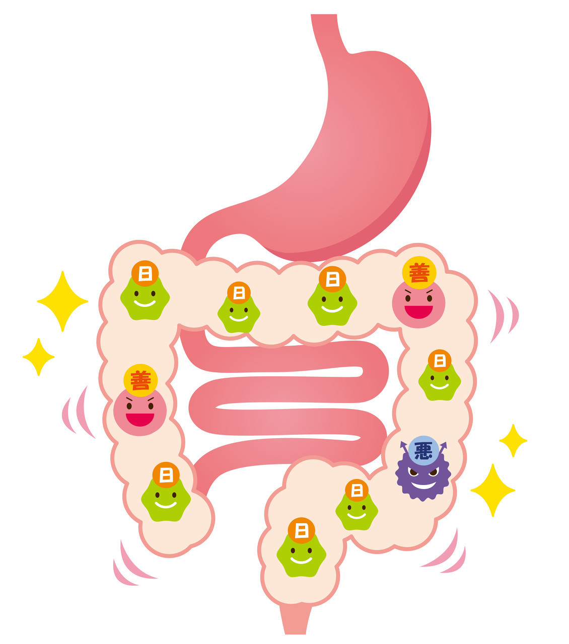 小黄盒妈咪爱帮助宝宝恢复肠道菌群平衡摆脱肠道疾病困扰