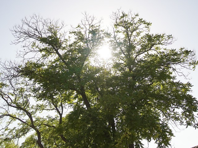 【有料评测】超广角定焦 索尼E 11mm F1.8镜头评测